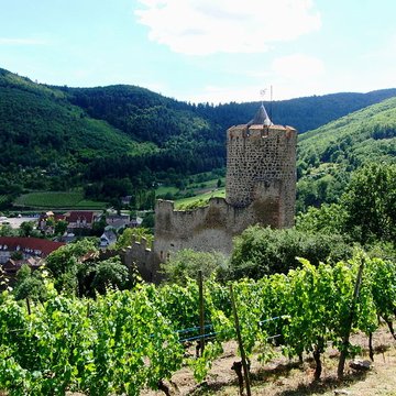 Château dit Schlossberg et enceinte