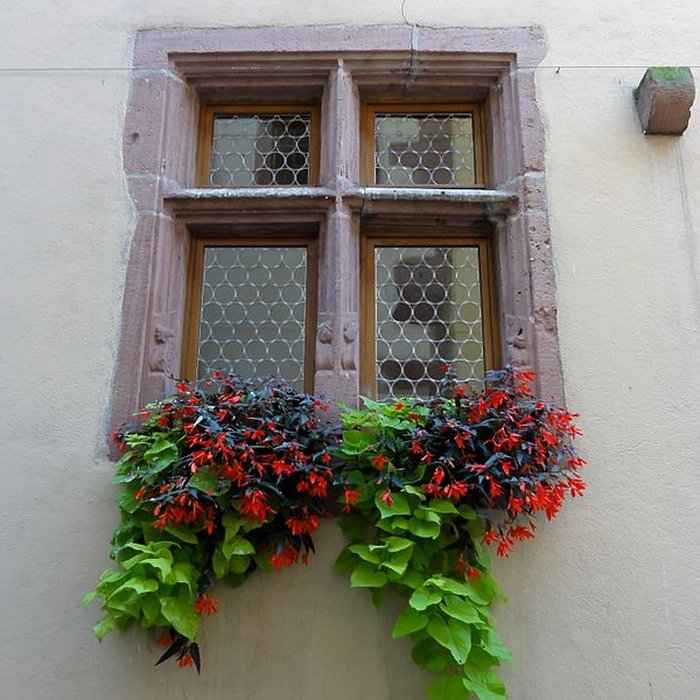 Photo de Hôtel de ville