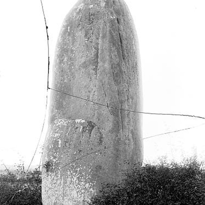 Photo de Grande Pierre Levée de Saint-Macaire-en-Mauges