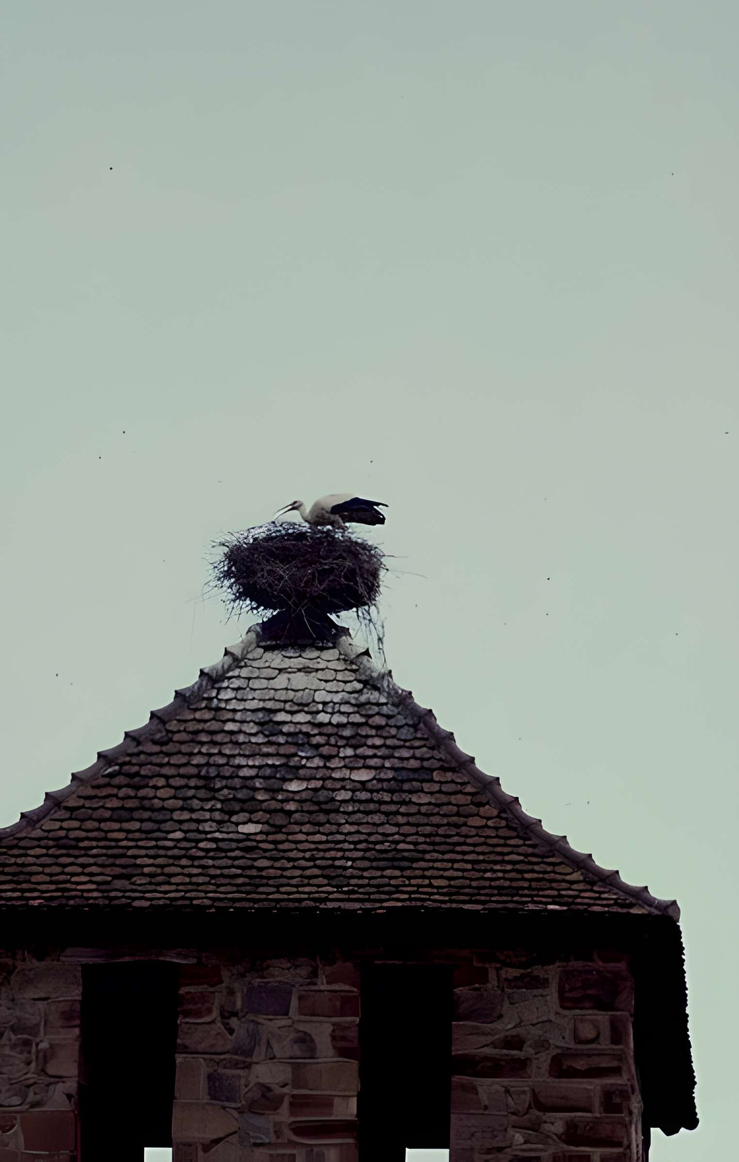 Tour dite Kesslerturm