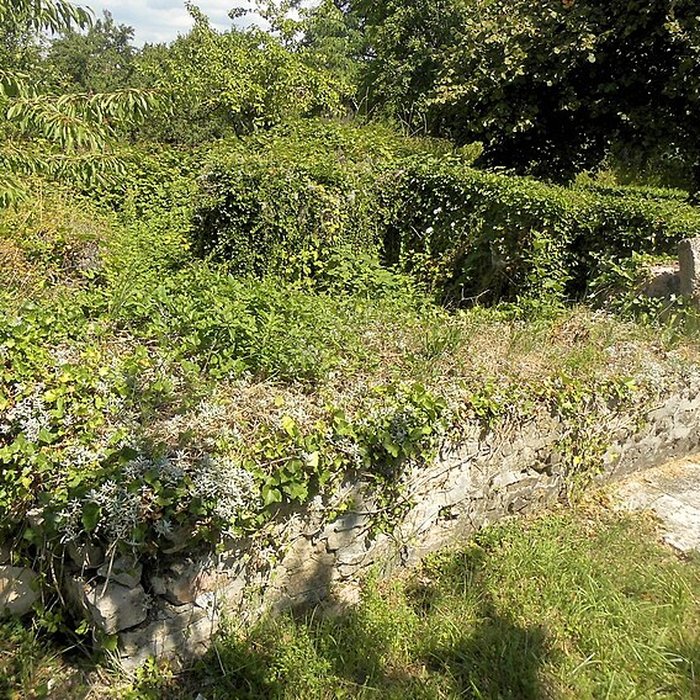 Photo de Vestiges dune installation de bain romaine