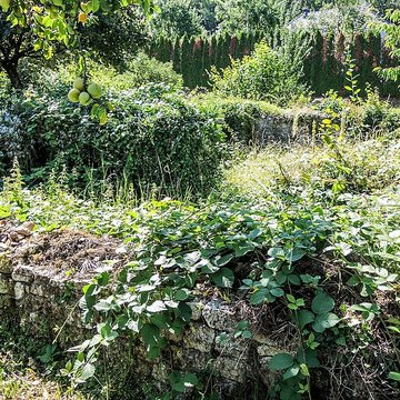 Vestiges dune installation de bain romaine