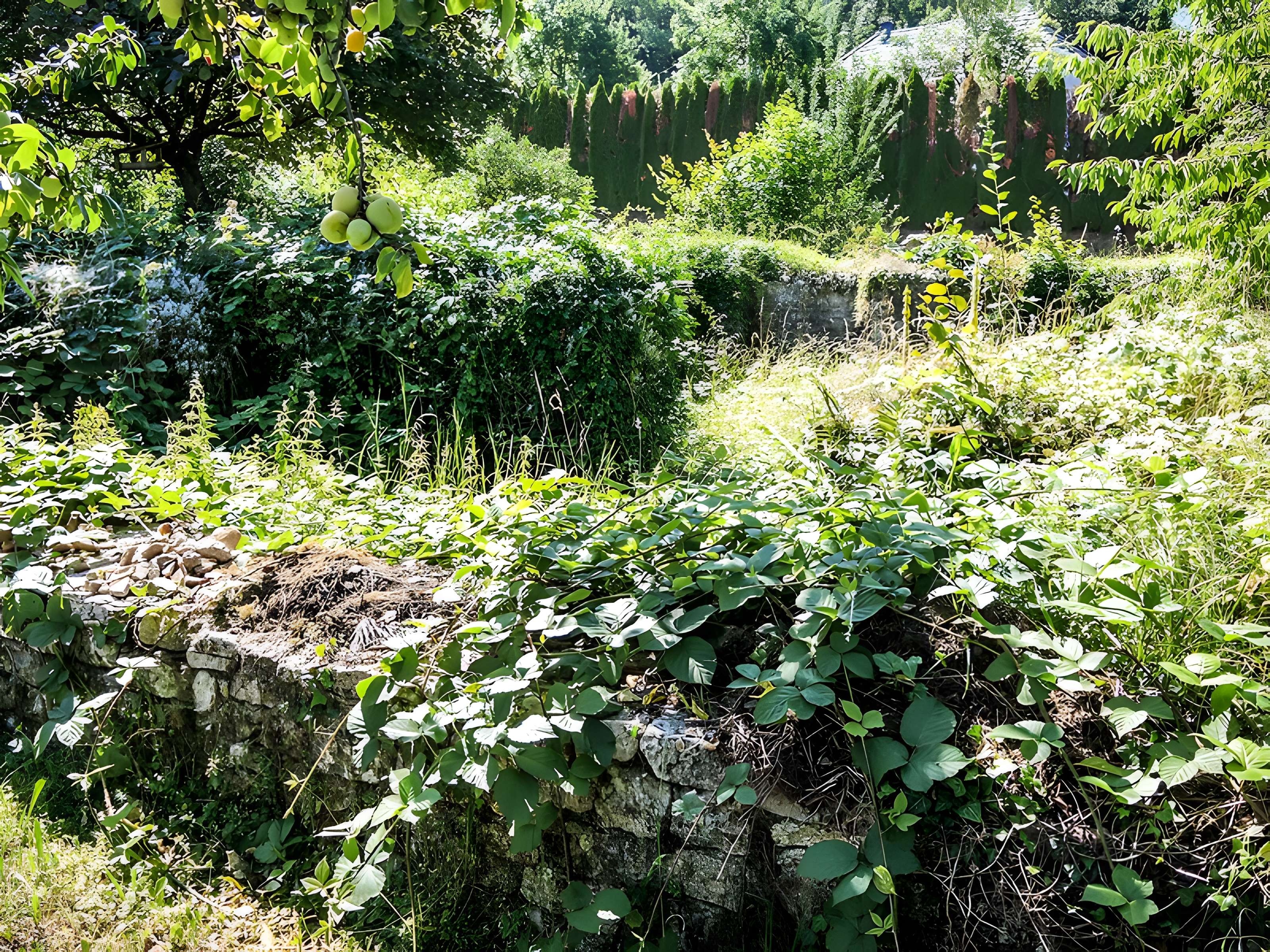 Vestiges d'une installation de bain romaine