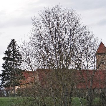 grange de pancy a angely