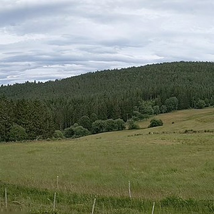 Photo de Champ de bataille du Linge