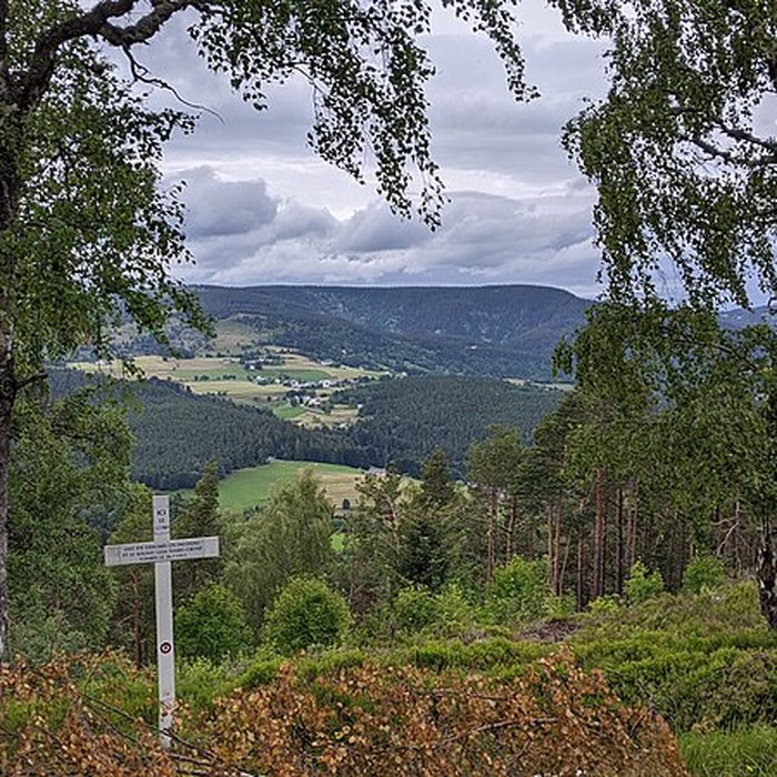 Photo de Champ de bataille du Linge
