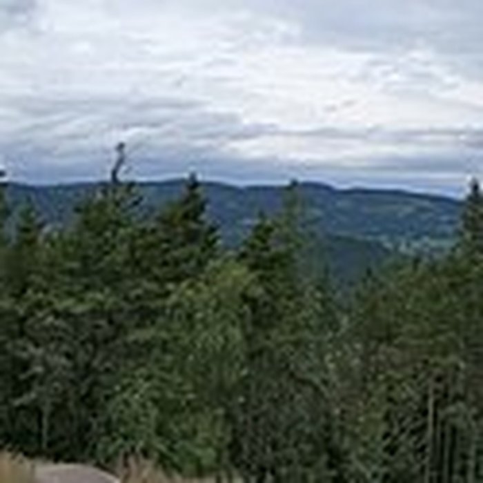 Photo de Champ de bataille du Linge