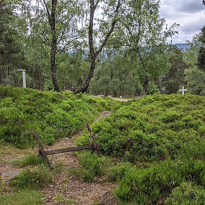 Photo de Champ de bataille du Linge