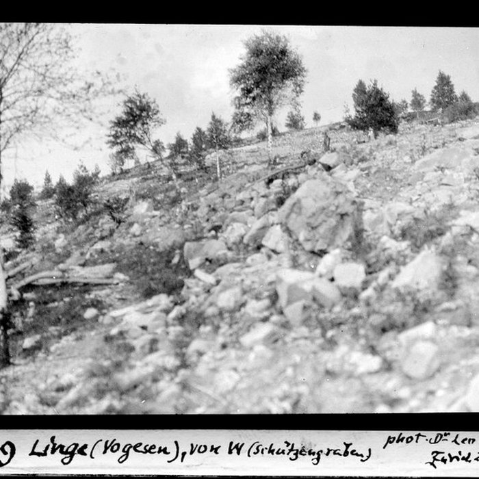 Photo de Champ de bataille du Linge