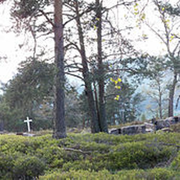 Photo de Champ de bataille du Linge