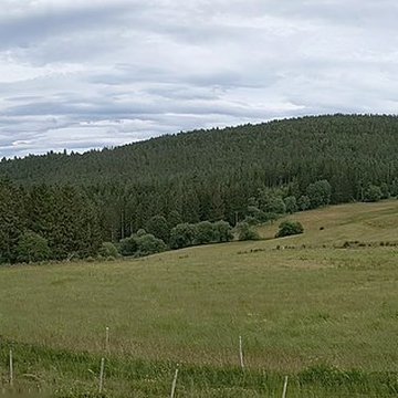 Champ de bataille du Linge