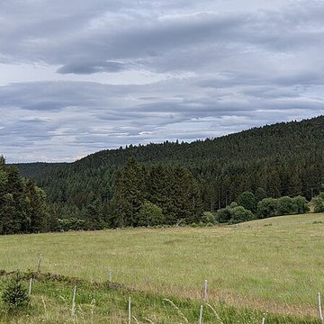 Champ de bataille du Linge