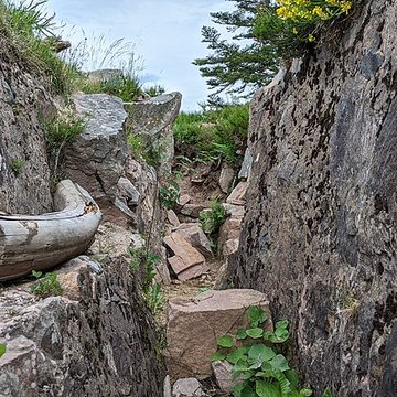 Champ de bataille du Linge
