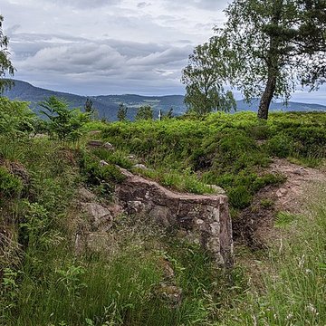 Champ de bataille du Linge