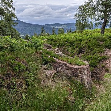 Champ de bataille du Linge