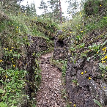 Champ de bataille du Linge