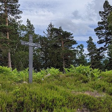 Champ de bataille du Linge