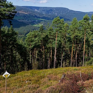 Champ de bataille du Linge
