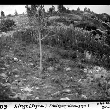 Champ de bataille du Linge