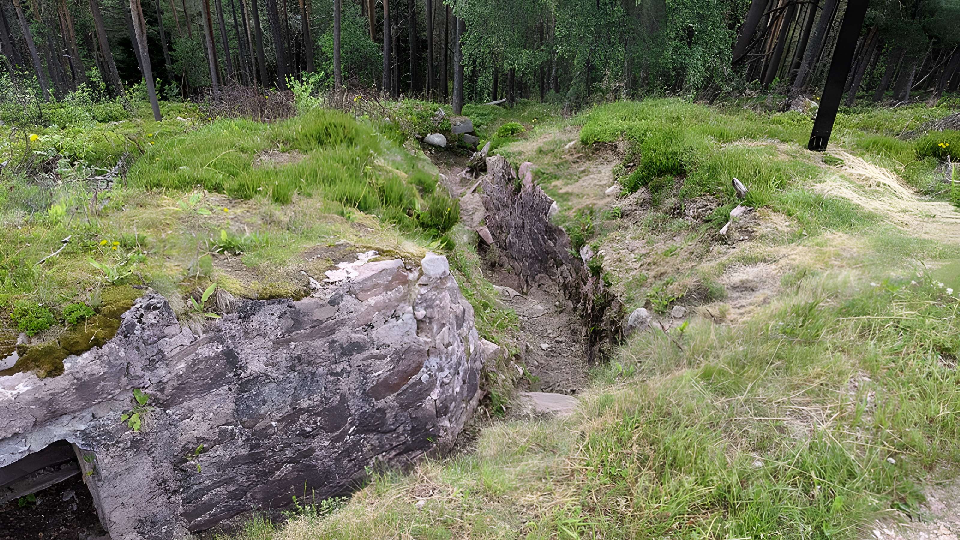 Champ de bataille du Linge