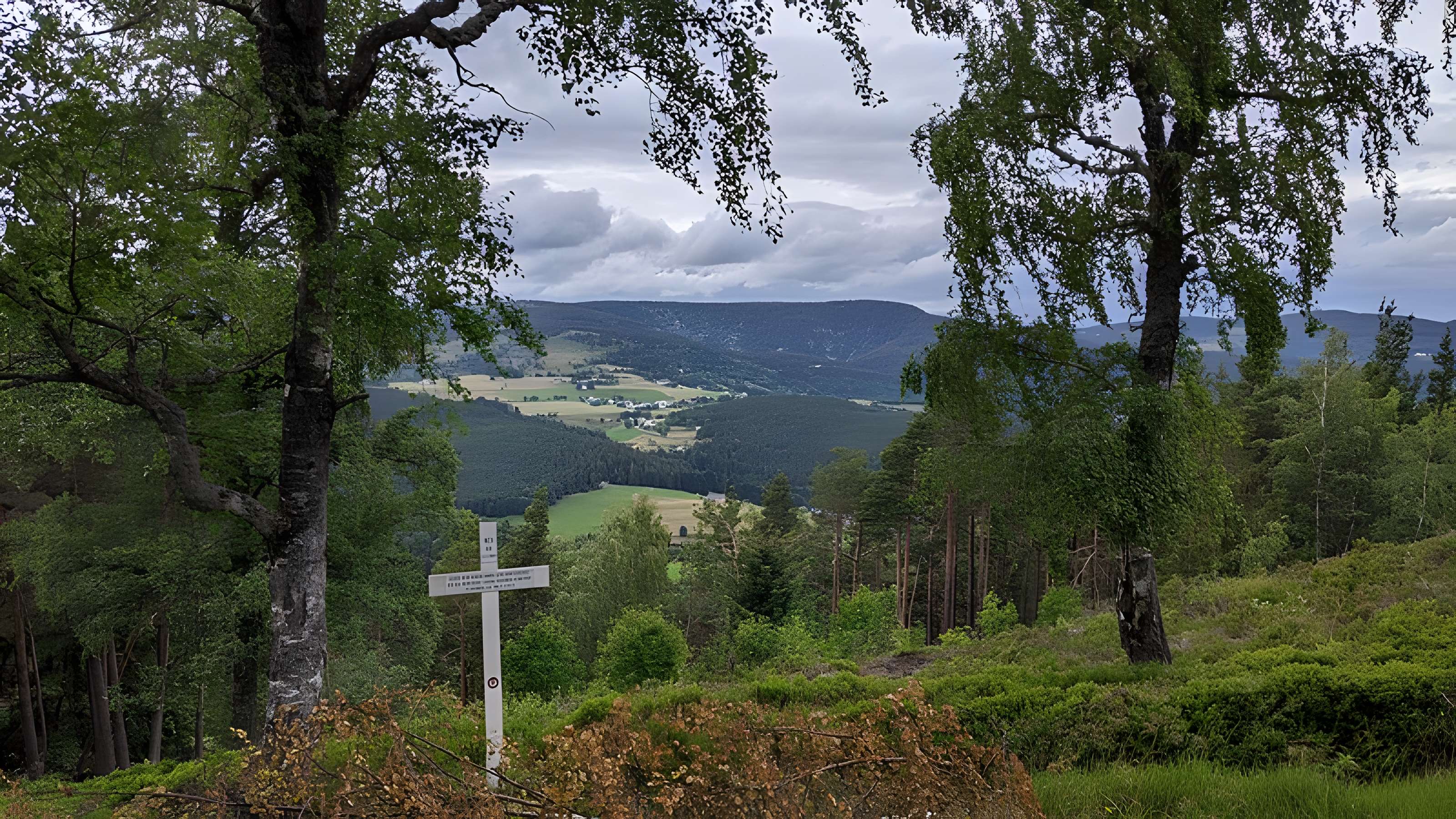 Champ de bataille du Linge