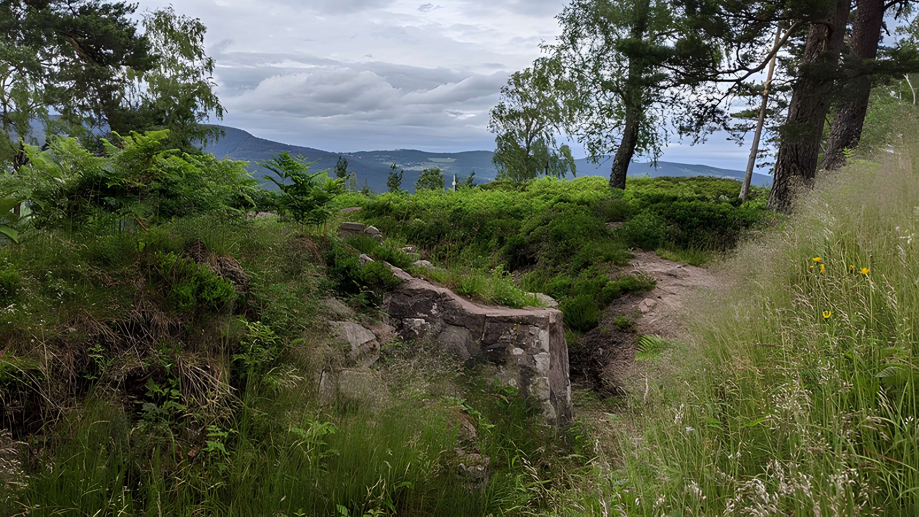 Champ de bataille du Linge
