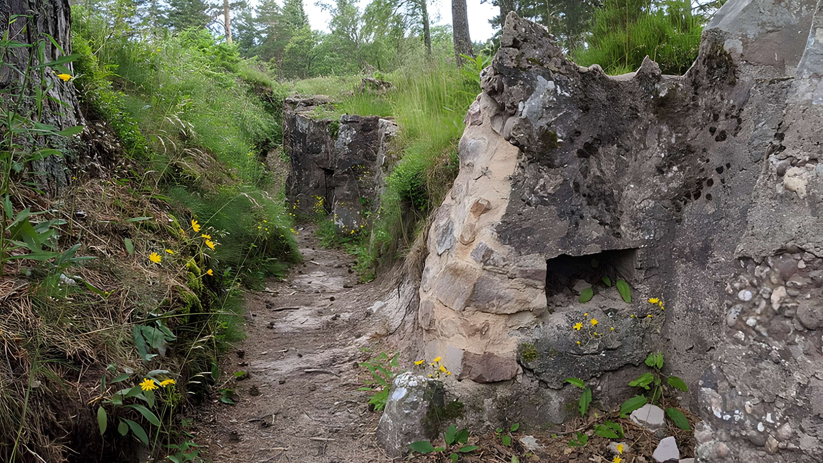 Champ de bataille du Linge