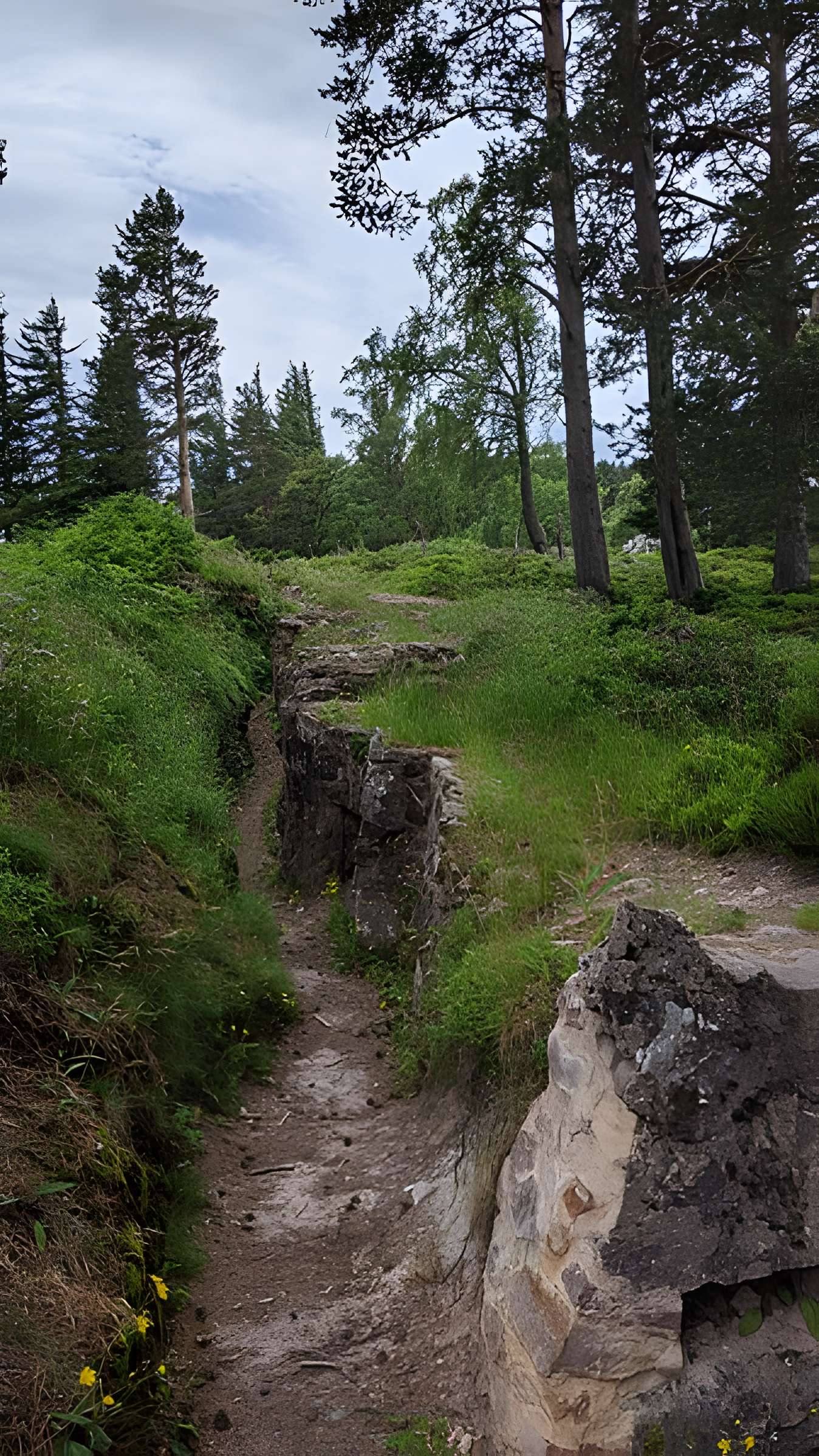 Champ de bataille du Linge