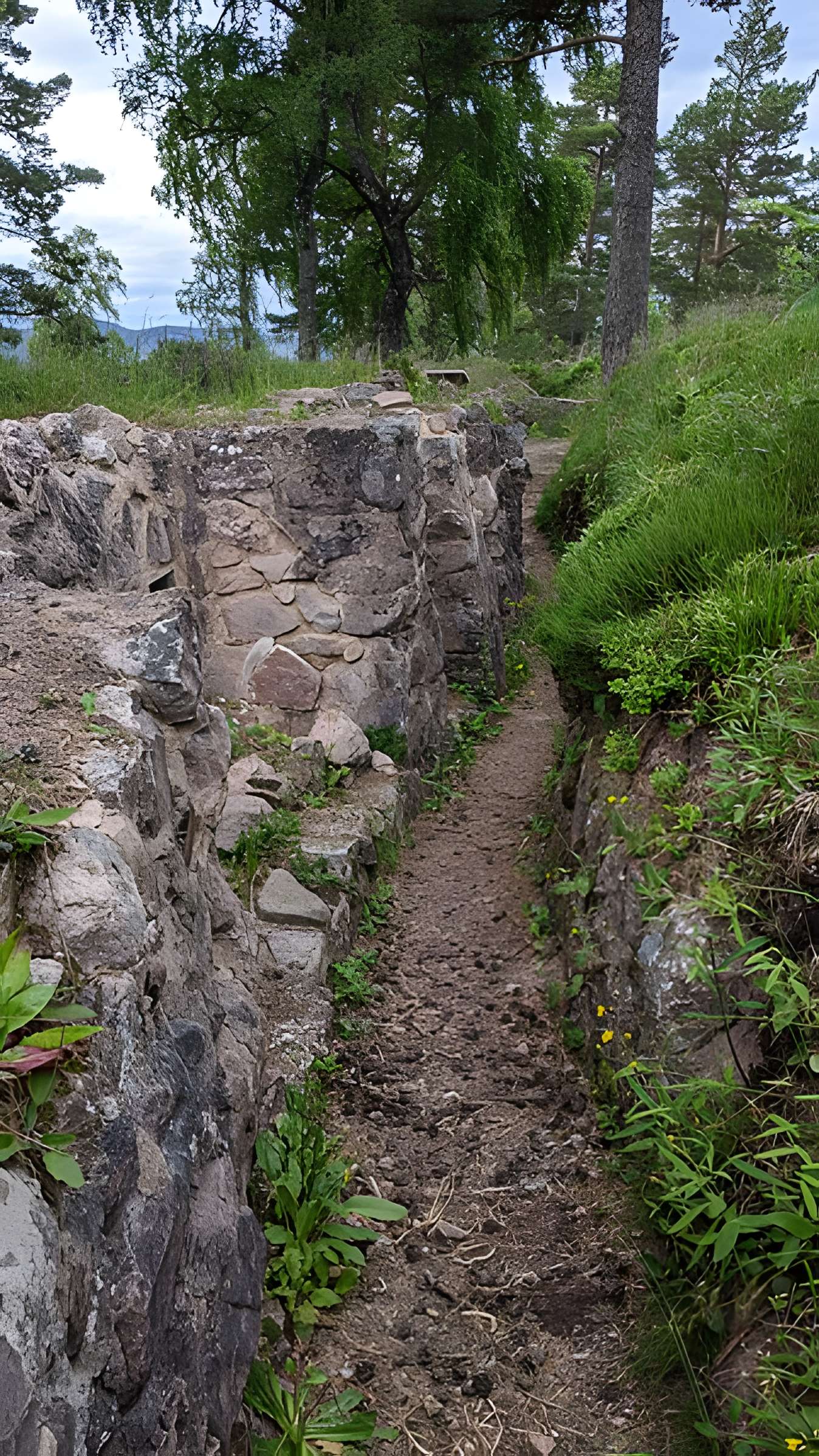 Champ de bataille du Linge