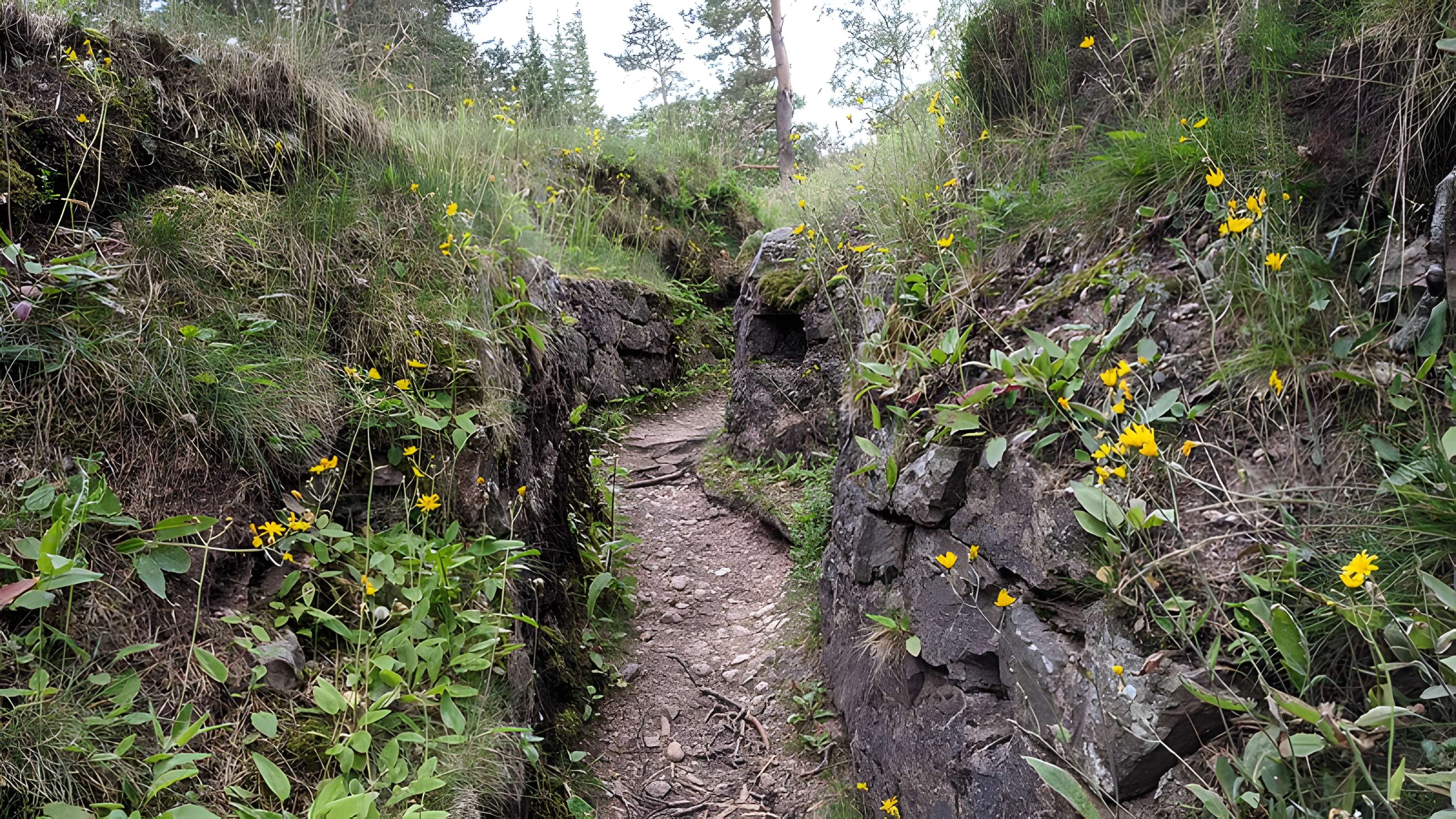 Champ de bataille du Linge