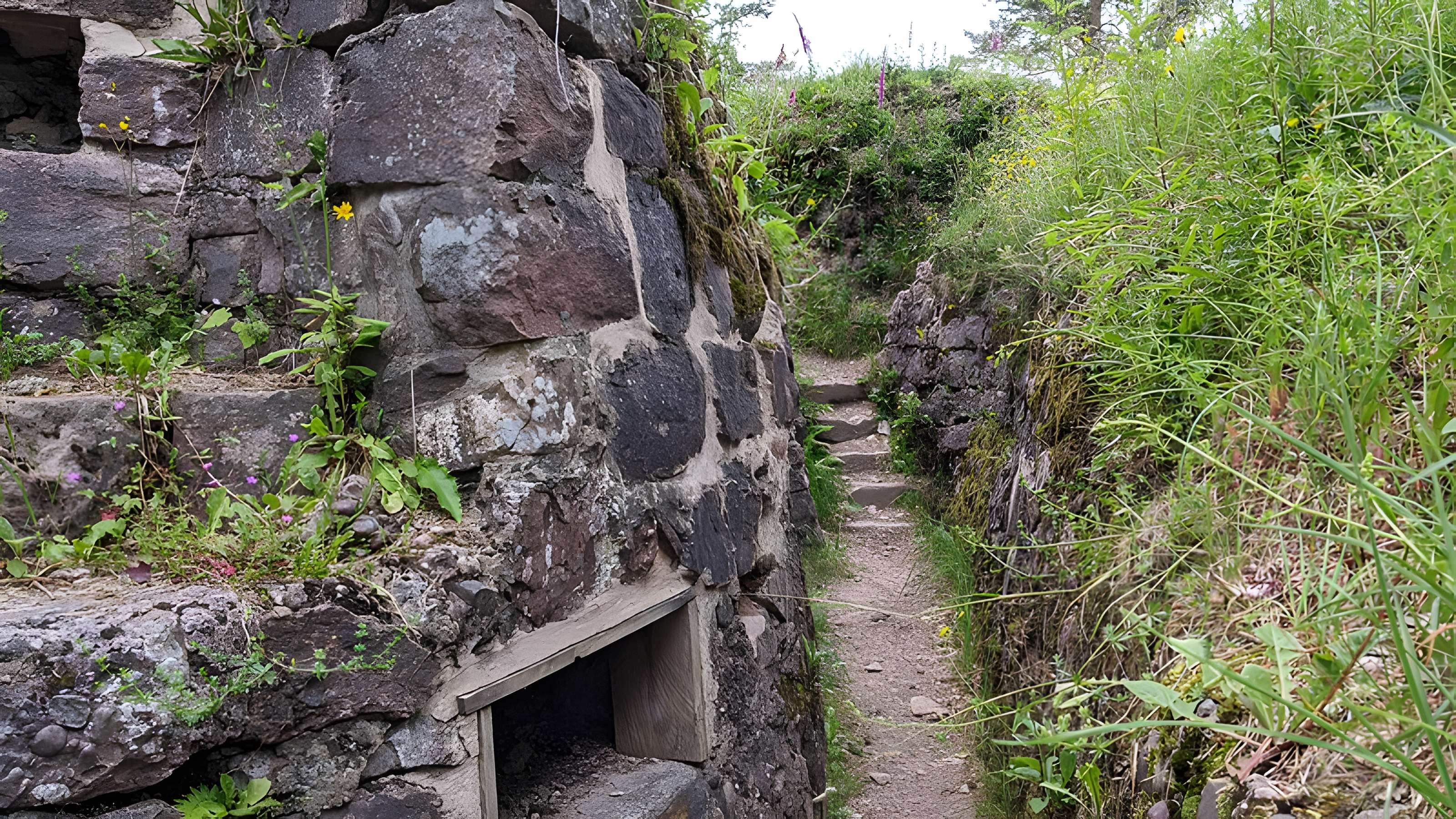 Champ de bataille du Linge