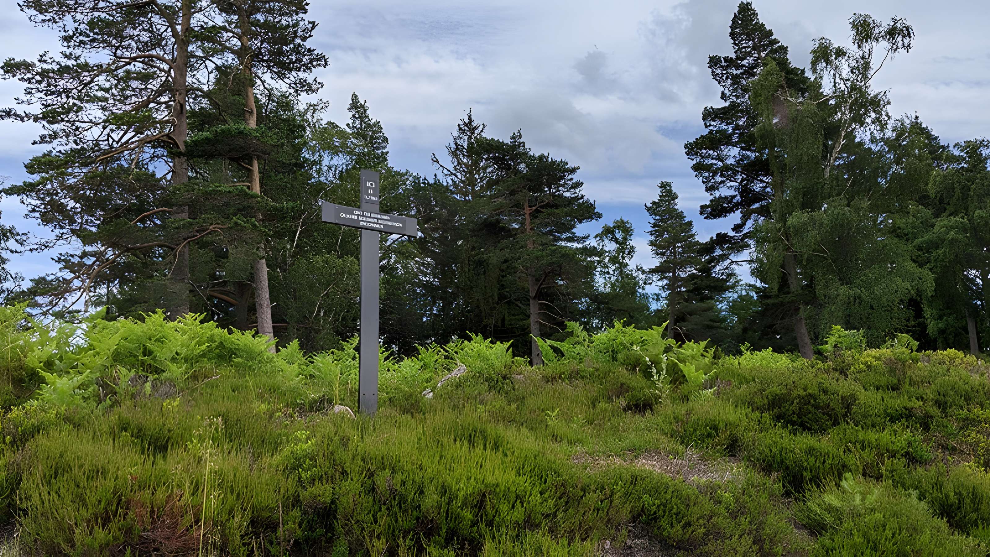 Champ de bataille du Linge