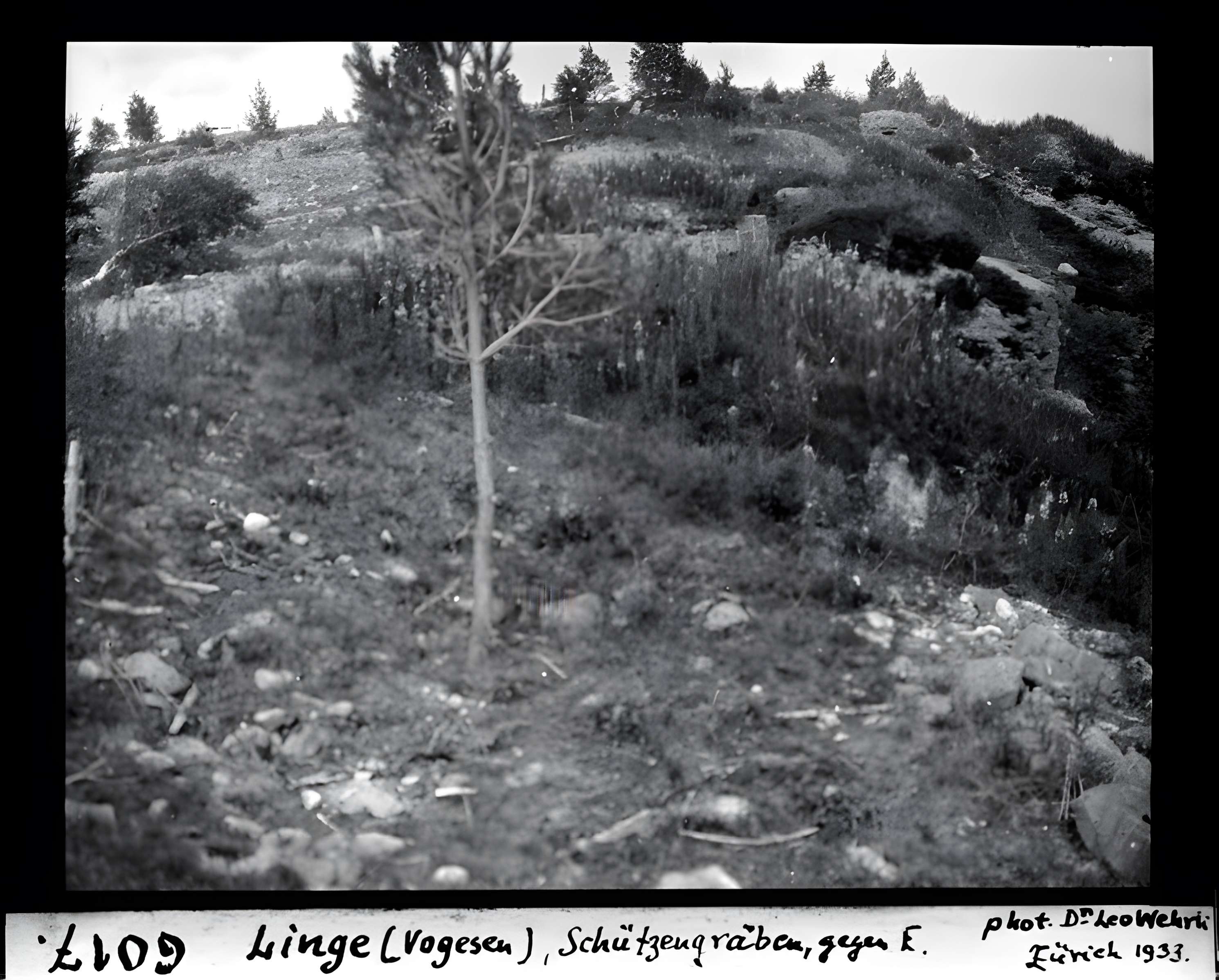 Champ de bataille du Linge