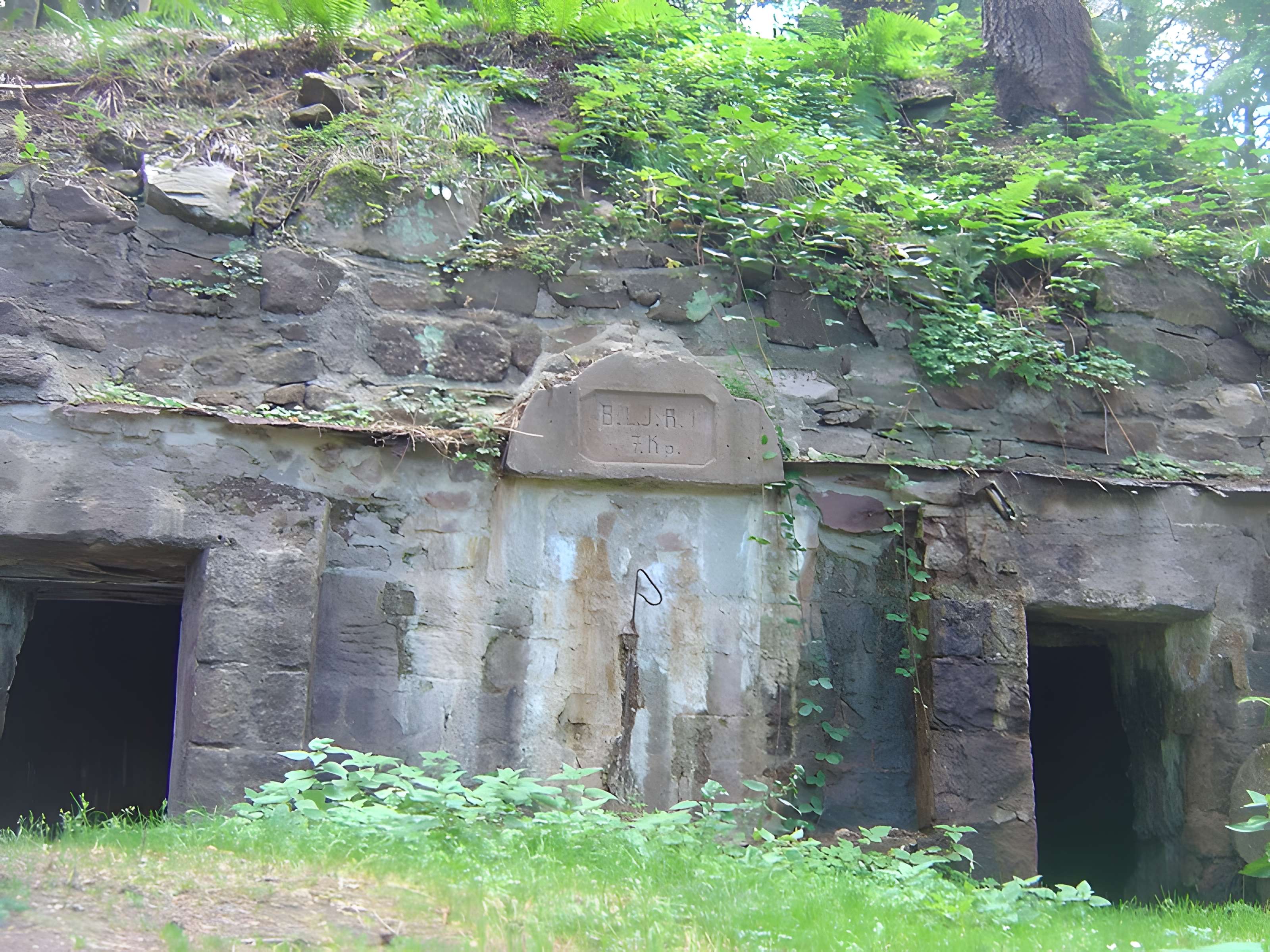 Champ de bataille du Linge