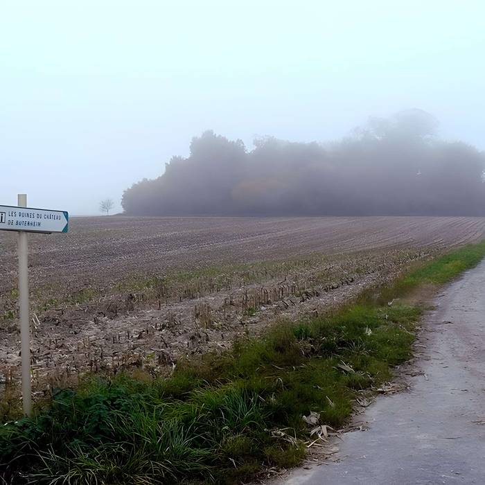 Photo de Vestiges du château de Butenheim