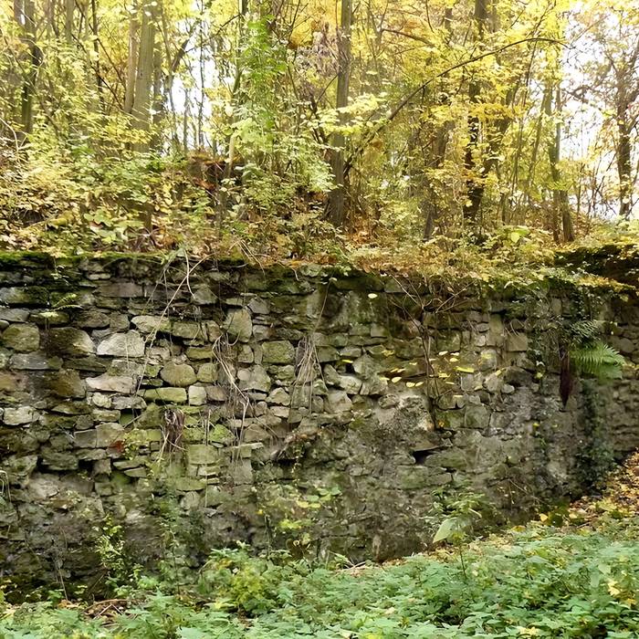 Photo de Vestiges du château de Butenheim
