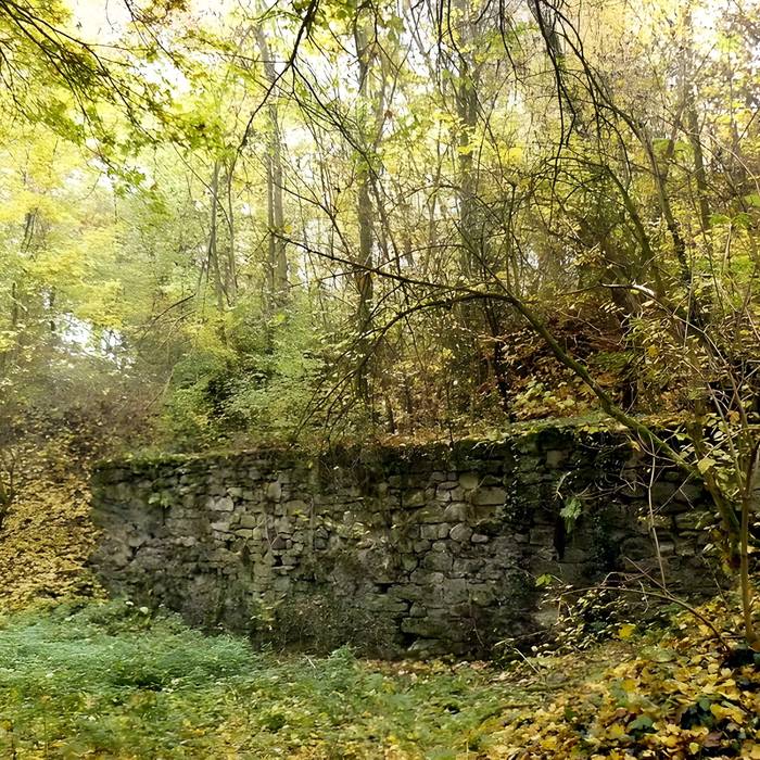 Photo de Vestiges du château de Butenheim
