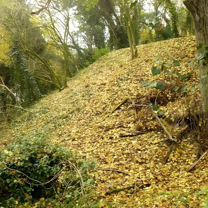 Photo de Vestiges du château de Butenheim