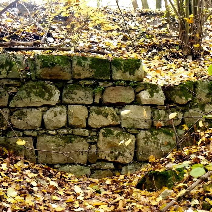 Photo de Vestiges du château de Butenheim