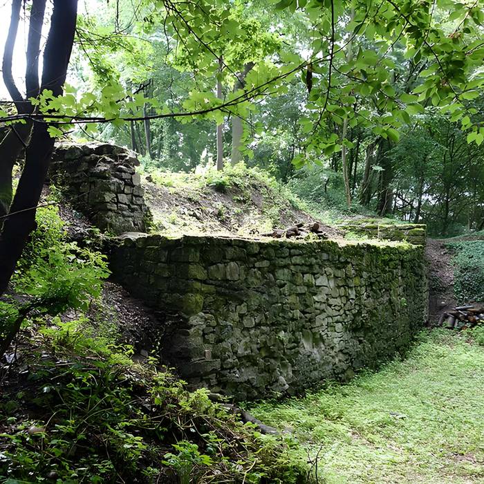Photo de Vestiges du château de Butenheim