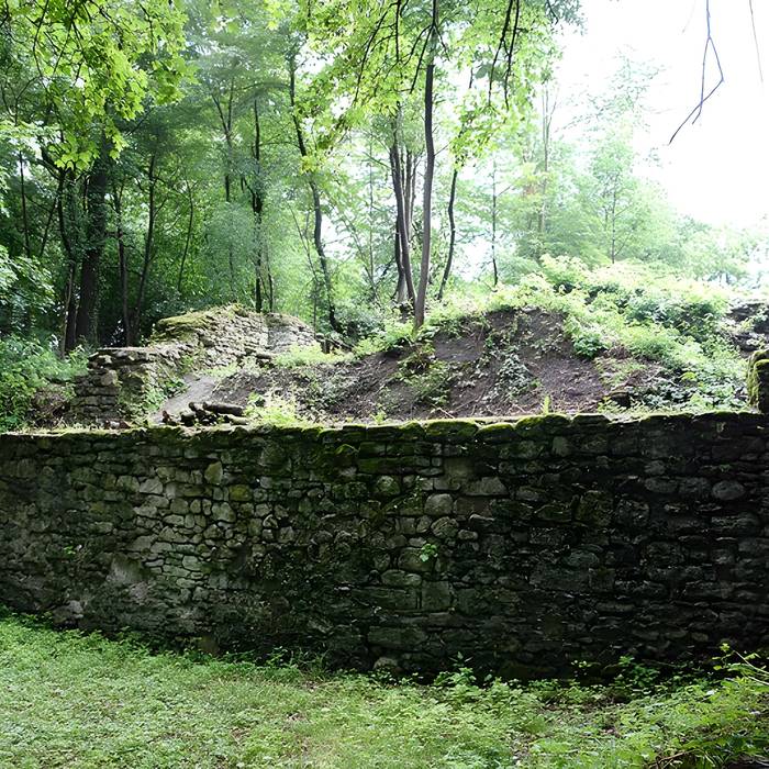 Photo de Vestiges du château de Butenheim