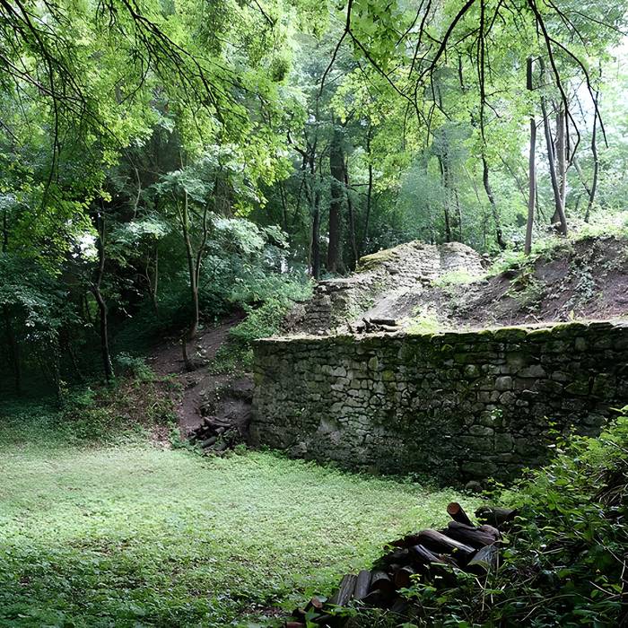 Photo de Vestiges du château de Butenheim