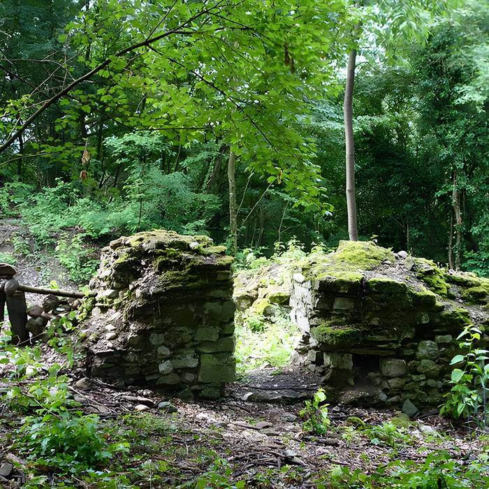 Photo de Vestiges du château de Butenheim