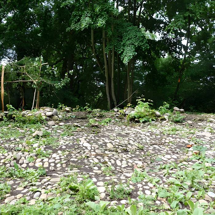 Photo de Vestiges du château de Butenheim