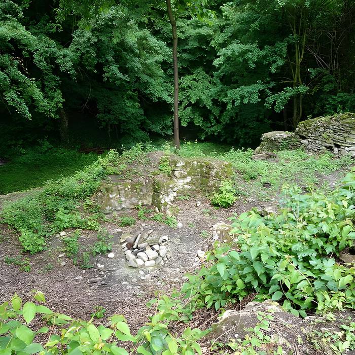 Photo de Vestiges du château de Butenheim