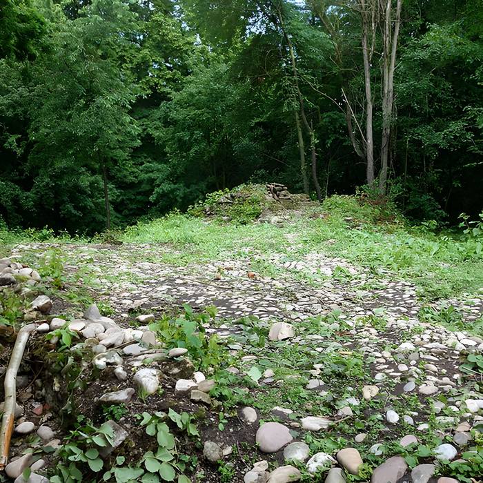 Photo de Vestiges du château de Butenheim