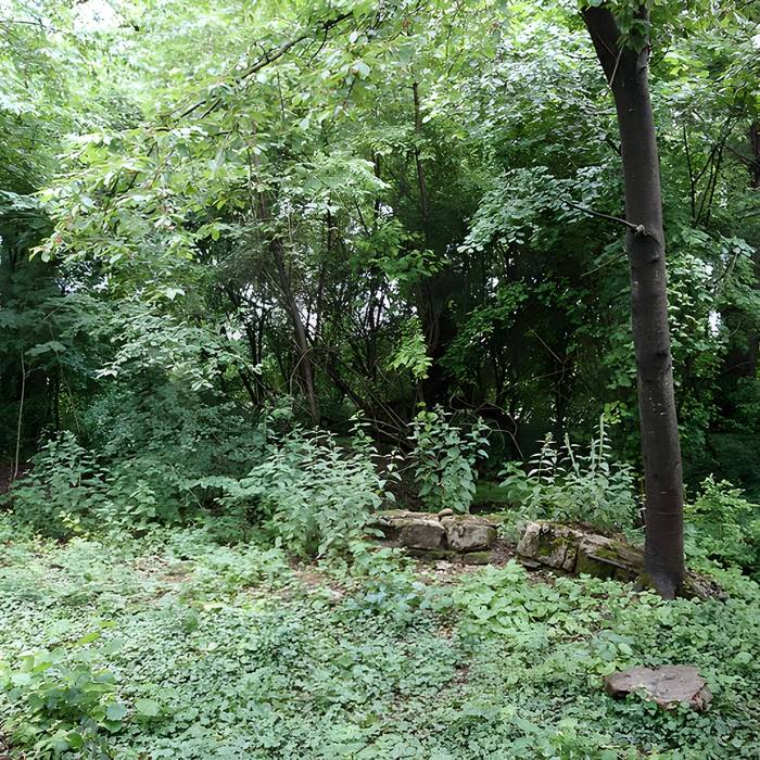 Photo de Vestiges du château de Butenheim