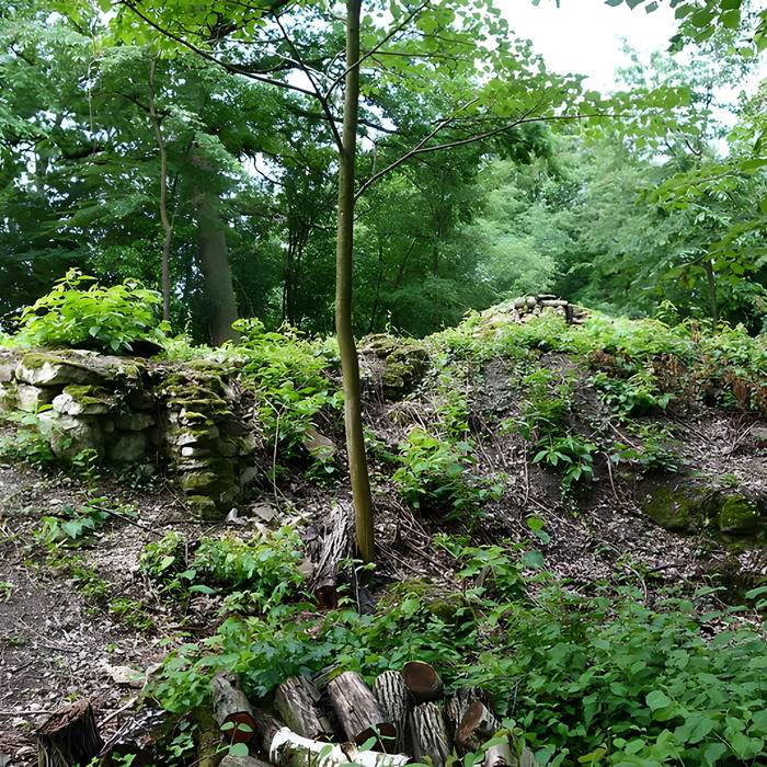 Photo de Vestiges du château de Butenheim