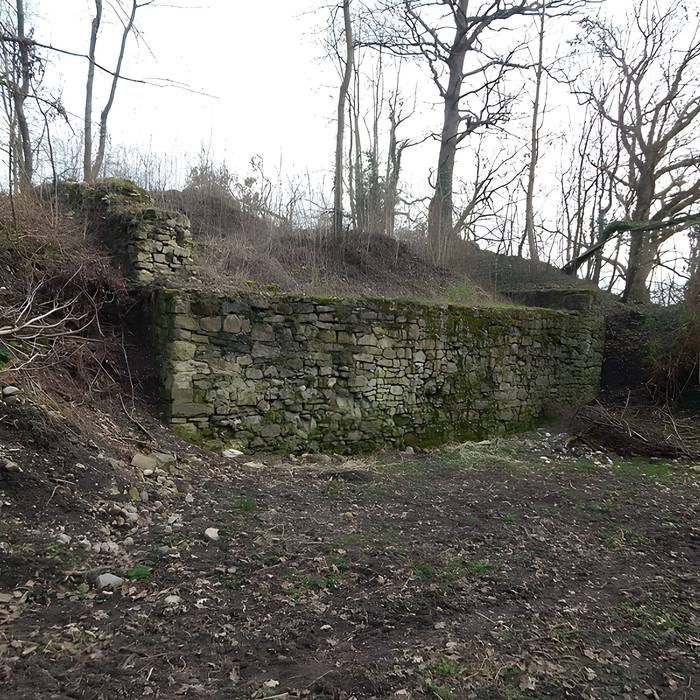 Photo de Vestiges du château de Butenheim