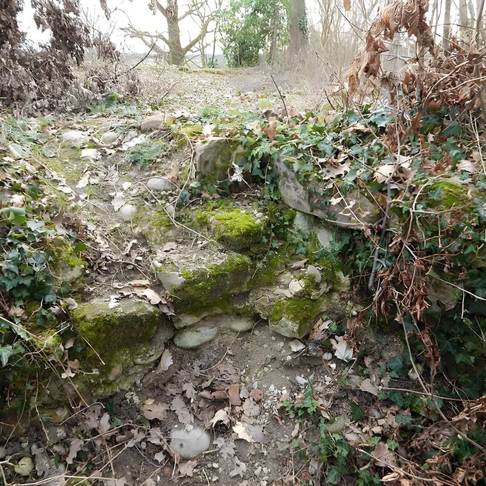 Photo de Vestiges du château de Butenheim